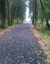 строительство дорог строительство дорог