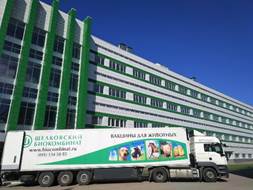 ремонт внутриплощадных дорог ремонт внутриплощадных дорог